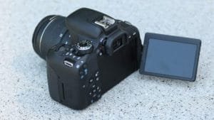 Canon EOS 250D o Canon EOS 800D diferencias comparativa opiniones